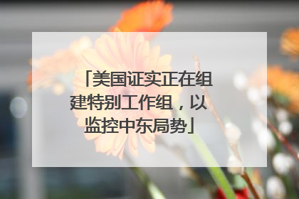 美国证实正在组建特别工作组，以监控中东局势