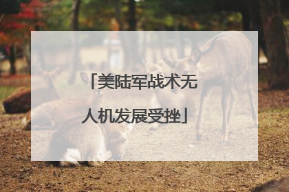 美陆军战术无人机发展受挫