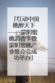 红动中国 桃醉天下——蒙阴蜜桃消费季暨蒙阴蜜桃产业推介会成功举办