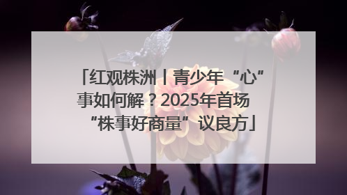 红观株洲丨青少年“心”事如何解？2025年首场“株事好商量”议良方