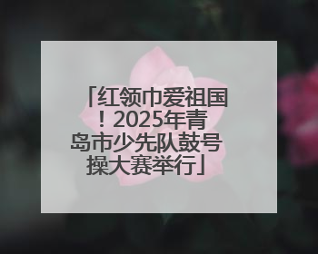红领巾爱祖国！2025年青岛市少先队鼓号操大赛举行