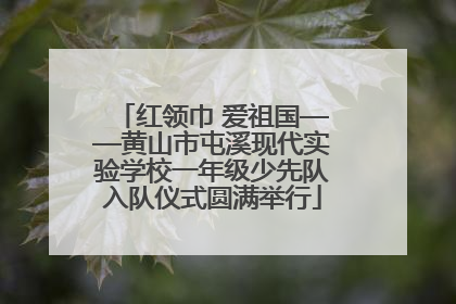 红领巾 爱祖国——黄山市屯溪现代实验学校一年级少先队入队仪式圆满举行
