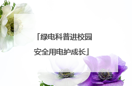 绿电科普进校园 安全用电护成长