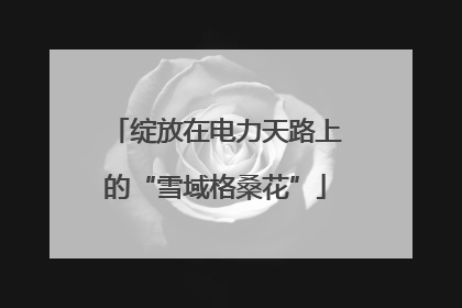 绽放在电力天路上的“雪域格桑花”
