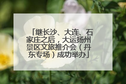 继长沙、大连、石家庄之后，大运扬州景区文旅推介会（丹东专场）成功举办