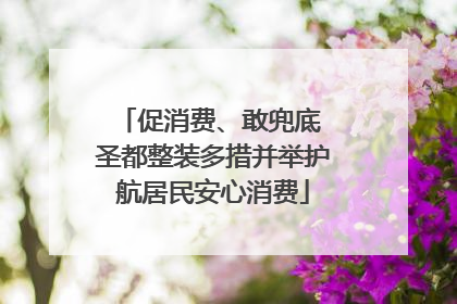 促消费、敢兜底 圣都整装多措并举护航居民安心消费