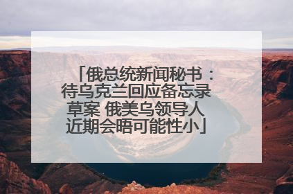 俄总统新闻秘书：待乌克兰回应备忘录草案 俄美乌领导人近期会晤可能性小