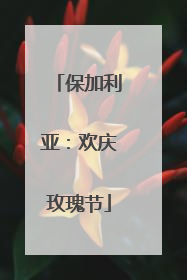 保加利亚：欢庆玫瑰节