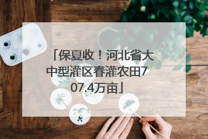 保夏收！河北省大中型灌区春灌农田707.4万亩