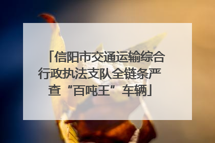 信阳市交通运输综合行政执法支队全链条严查“百吨王”车辆