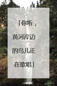 你听，黄河岸边的鸟儿正在歌唱