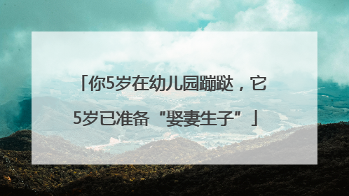 你5岁在幼儿园蹦跶，它5岁已准备“娶妻生子”