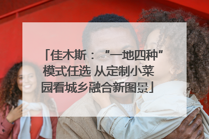 佳木斯：“一地四种” 模式任选 从定制小菜园看城乡融合新图景