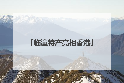 临潼特产亮相香港