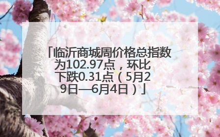 临沂商城周价格总指数为102.97点，环比下跌0.31点（5月29日—6月4日）