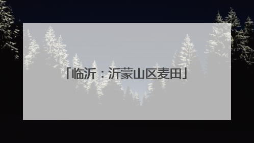 临沂：沂蒙山区麦田
