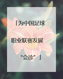 为中国足球职业联赛发展“会诊”