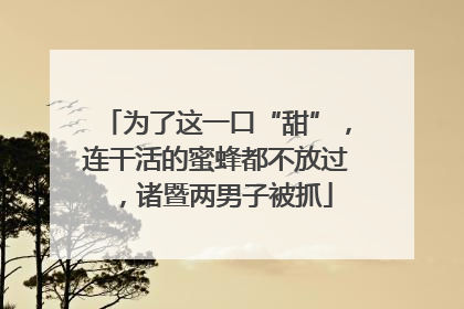 为了这一口“甜”，连干活的蜜蜂都不放过，诸暨两男子被抓