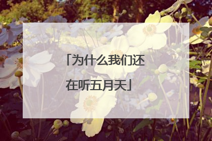 为什么我们还在听五月天