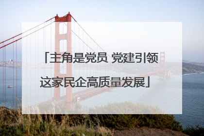 主角是党员 党建引领这家民企高质量发展