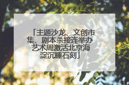 主题沙龙、文创市集、剧本杀接连举办 艺术周激活北京海淀沉睡石刻