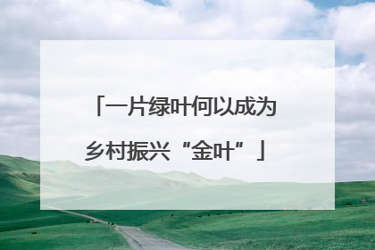一片绿叶何以成为乡村振兴“金叶”
