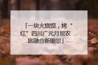 一块火烧馍，烤“红”四川广元月坝农旅融合新图景