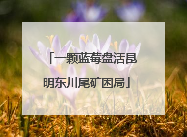 一颗蓝莓盘活昆明东川尾矿困局