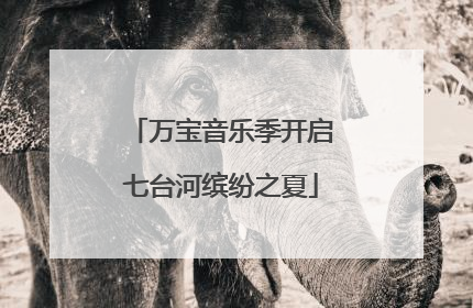 万宝音乐季开启七台河缤纷之夏
