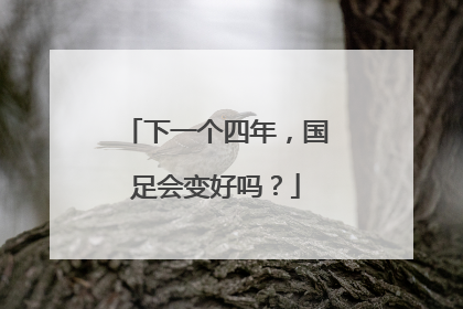 下一个四年，国足会变好吗？