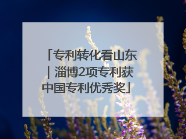 专利转化看山东｜淄博2项专利获中国专利优秀奖