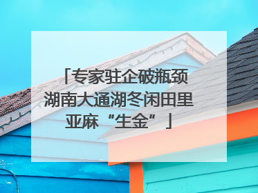 专家驻企破瓶颈 湖南大通湖冬闲田里亚麻“生金”