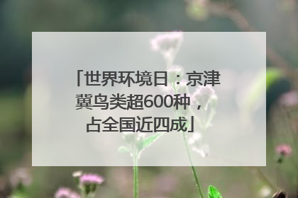 世界环境日：京津冀鸟类超600种，占全国近四成