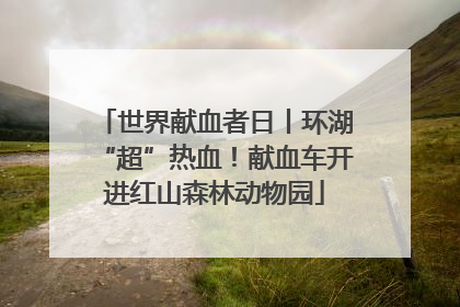 世界献血者日丨环湖“超”热血！献血车开进红山森林动物园