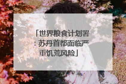 世界粮食计划署：苏丹首都面临严重饥荒风险