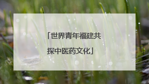 世界青年福建共探中医药文化