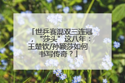 世乒赛混双三连冠，“莎头”这八年：王楚钦/孙颖莎如何书写传奇？