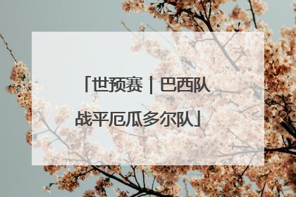 世预赛｜巴西队战平厄瓜多尔队