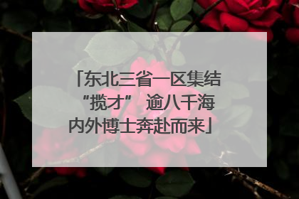 东北三省一区集结“揽才” 逾八千海内外博士奔赴而来