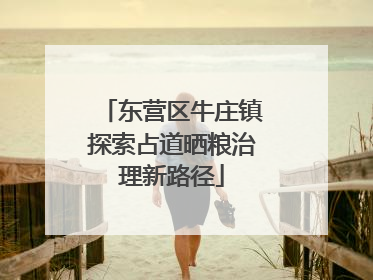 东营区牛庄镇探索占道晒粮治理新路径