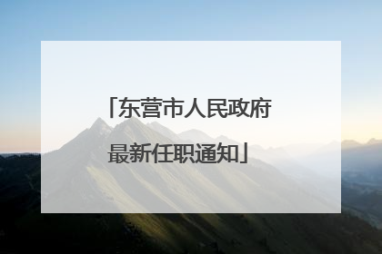 东营市人民政府最新任职通知