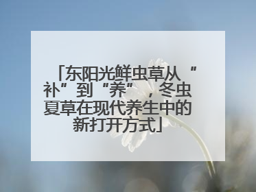 东阳光鲜虫草从“补”到“养”，冬虫夏草在现代养生中的新打开方式