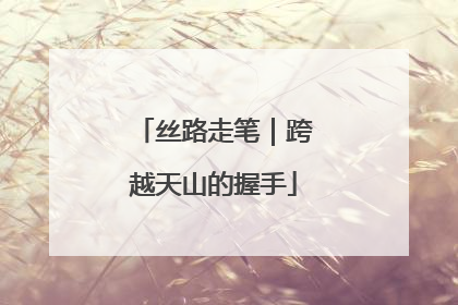 丝路走笔｜跨越天山的握手