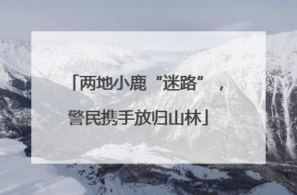 两地小鹿“迷路”，警民携手放归山林