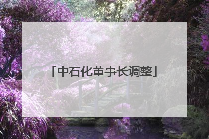 中石化董事长调整