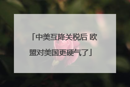 中美互降关税后 欧盟对美国更硬气了