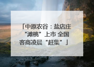 中原农谷：盐店庄“滩桃”上市 全国客商凌晨“赶集”