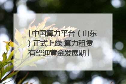 中国算力平台（山东）正式上线 算力租赁有望迎黄金发展期