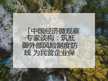 中国经济微观察·专家谈构：筑抵御外部风险制度防线 为民营企业保驾护航