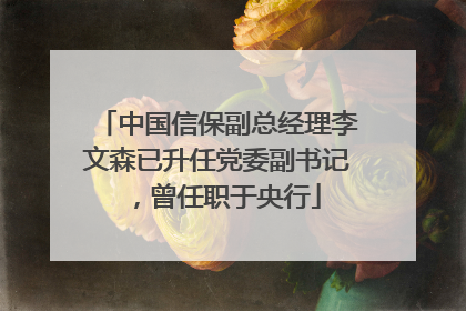 中国信保副总经理李文森已升任党委副书记，曾任职于央行
